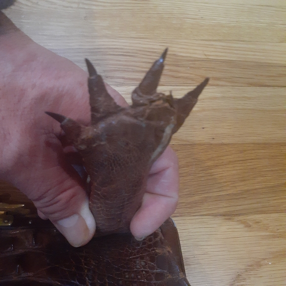 VINTAGE 1990S BROWN ANTIQUE  HORNBACK ALLIGATOR PURSE WITH PAWS OS - Picture 7 of 10